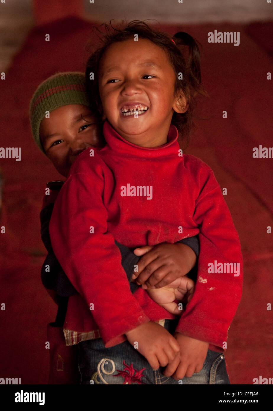 Lebensweise der Nomaden von Chanthang in Ladakh Aufzucht Pashmina Stockfoto