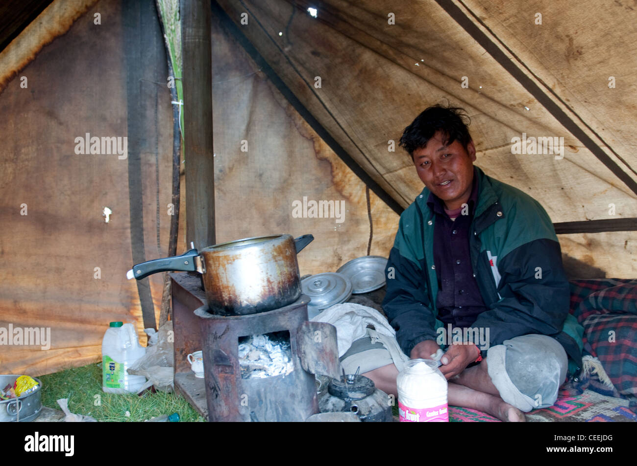 Lebensweise der Nomaden von Chanthang in Ladakh Aufzucht Pashmina Stockfoto