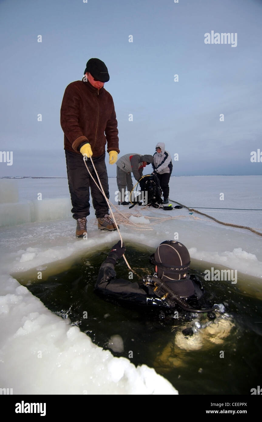 Subglazialen Tauchen im Schwarzen Meer, Odessa, Ukraine, Osteuropa Stockfoto