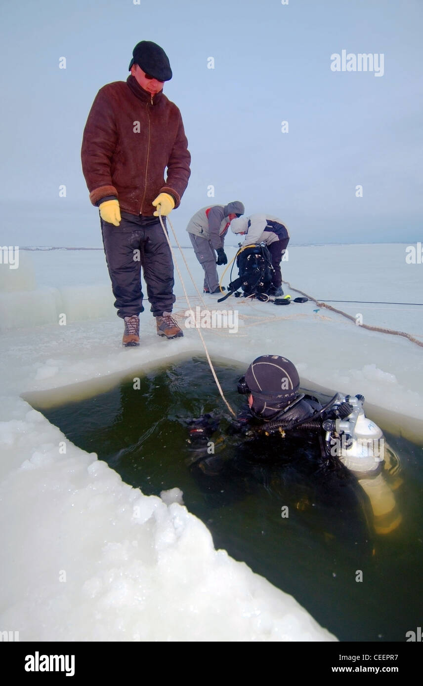 Subglazialen Tauchen im Schwarzen Meer, Odessa, Ukraine, Osteuropa Stockfoto