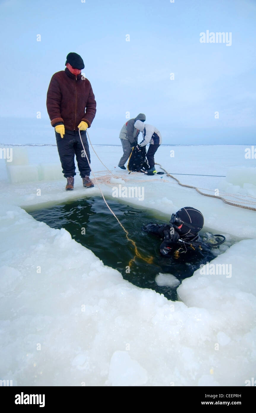 Subglazialen Tauchen im Schwarzen Meer, Odessa, Ukraine, Osteuropa Stockfoto
