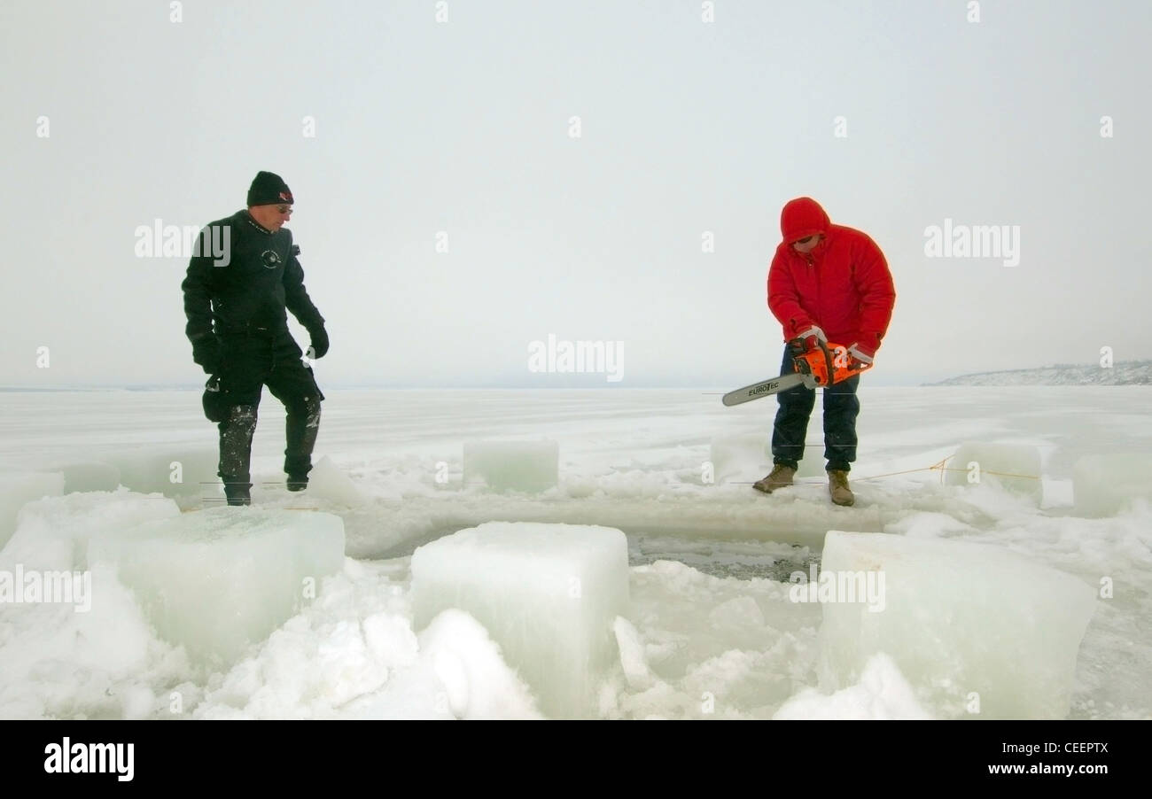 Subglazialen Tauchen im Schwarzen Meer, Odessa, Ukraine, Osteuropa Stockfoto