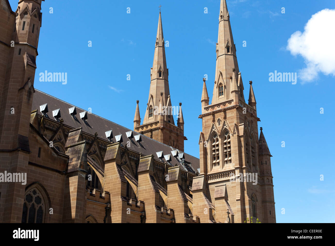 Metropolitan Cathedral of St Mary, Sydney, Australien Stockfoto