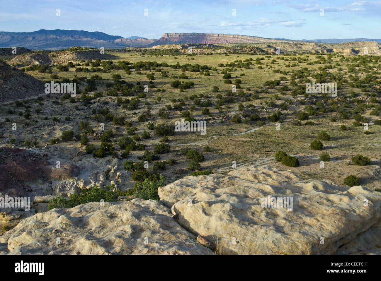 Ojito Wildnis, Sandoval County, New Mexico, Vereinigte Staaten Stockfoto
