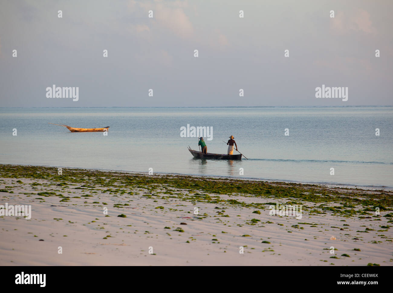 Sansibar Herren Stechkahn fahren einer hölzernen Dhau im Meer vor der Coral reef er Korallenriff, wo die Wellen brechen in der Ferne in Bwejuu, Sansibar, Tansania Stockfoto