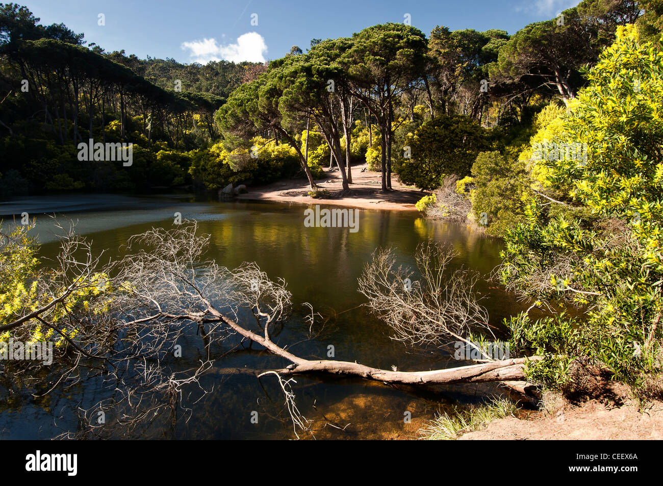 Schöne Landschaft der "Lagoa Azul", Blue Lagoon in Portugal Stockfoto