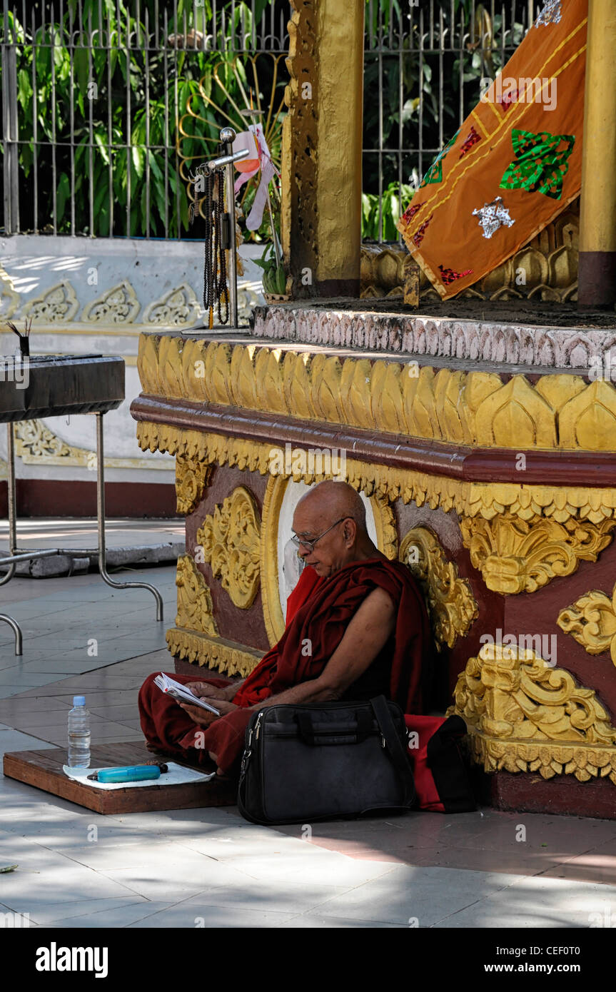 rote Roben buddhistischer Mönch lesen, lesen, meditieren Meditation Shwedagon Pagode Myanmar Burma Yangon Rangun Stockfoto