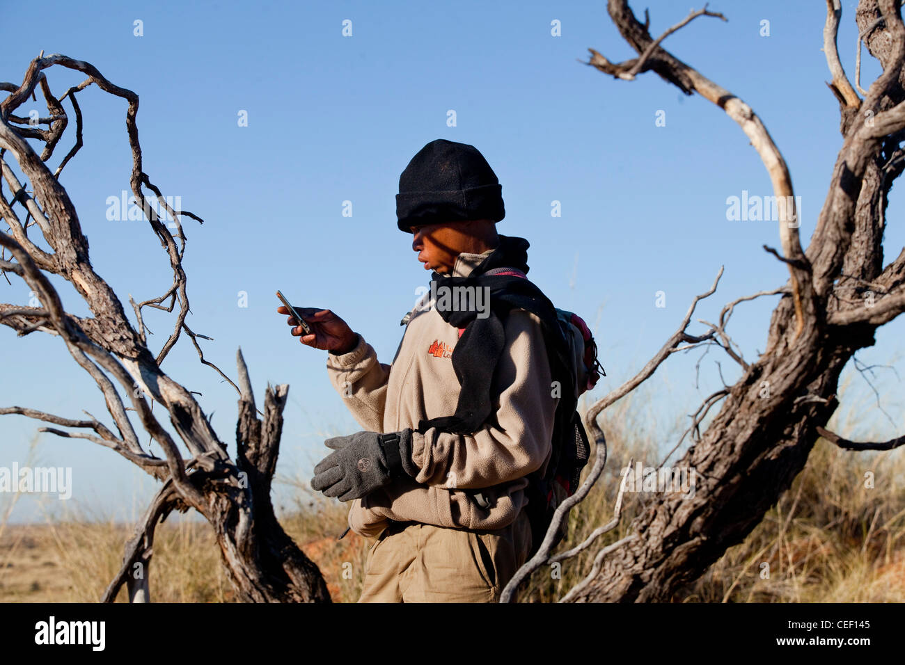 Porträt der Wüste mit seinem Handy in der Wüste Kalahari Afrika Reiseführer Stockfoto