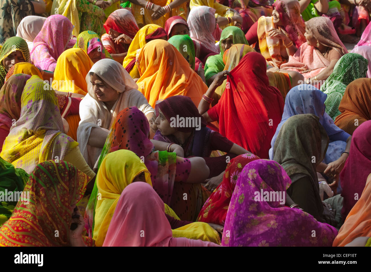 Frauen in bunten Saris versammeln, Rajasthan, Indien Stockfoto