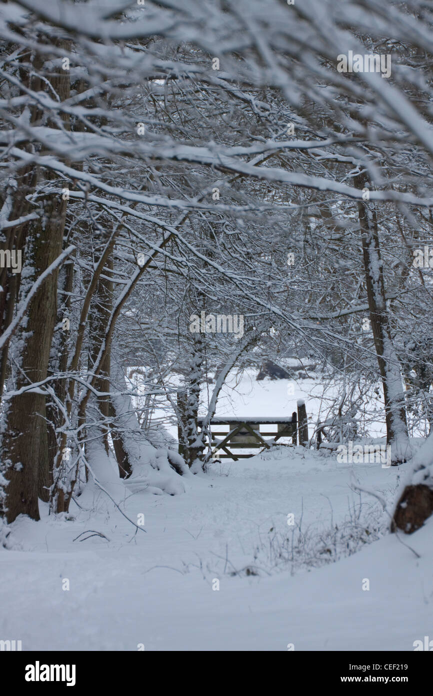 Ein Tor führt aus einem Holz in einer schneereichen Wiese im Winter, Suffolk, England Stockfoto