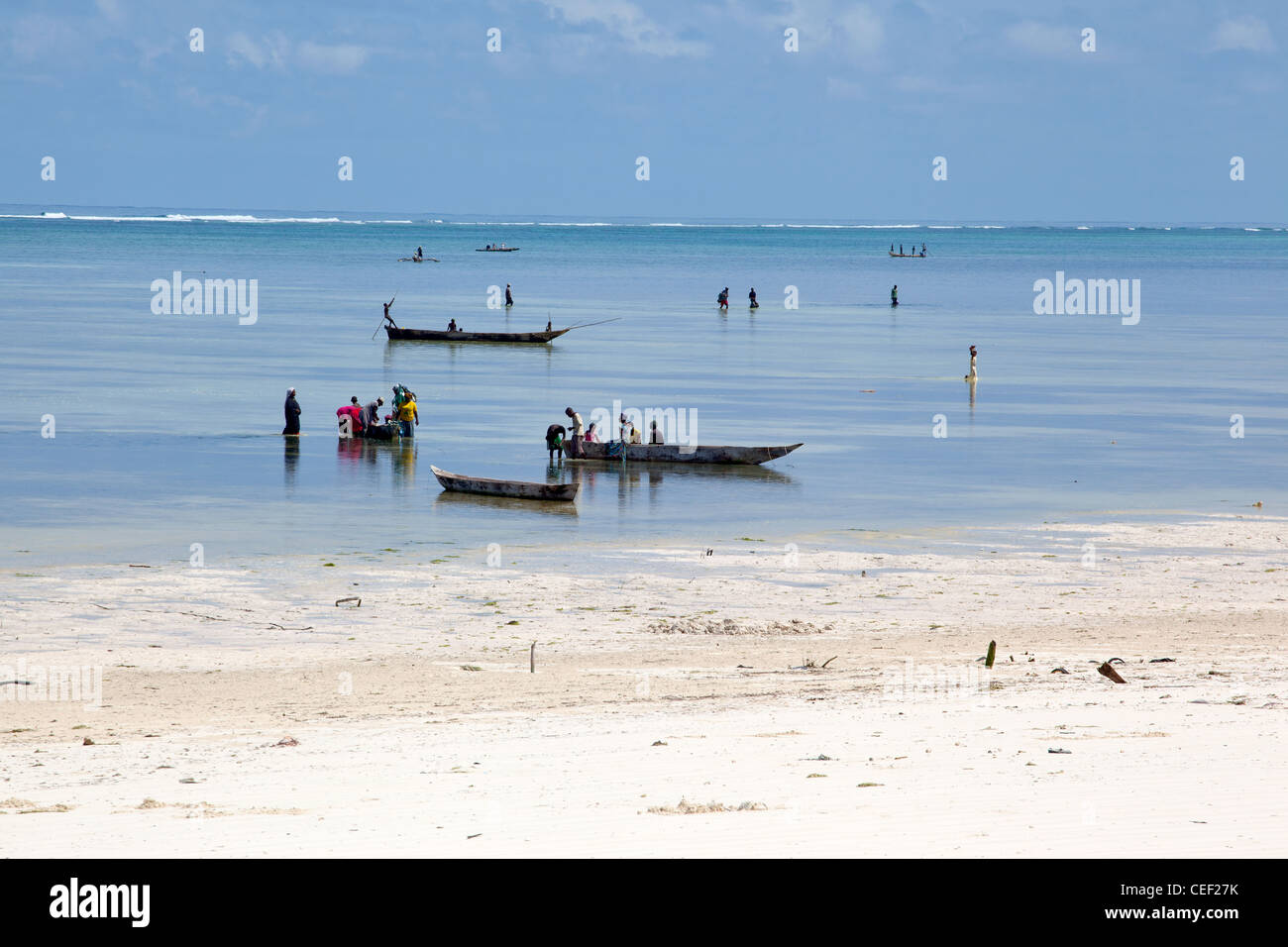 Bwejuu Dorfbewohner Rückkehr vom Fischen und Algen im Meer bei Ebbe Ernte deaktiviert das Korallenriff in Bwejuu, Sansibar, Tansania Stockfoto