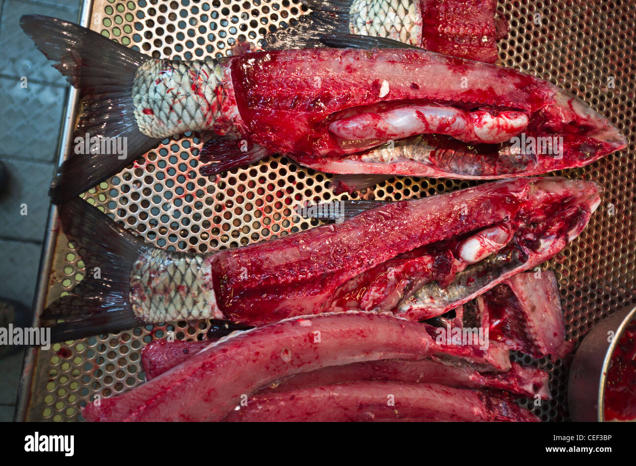 dh CAUSEWAY BAY HONGKONG frischer, nasser Fisch auf Chinesisch Marktstand zu zeigen Frische RAW Tablett china Stand Lebensmittel Stände schließen Märkte Stockfoto