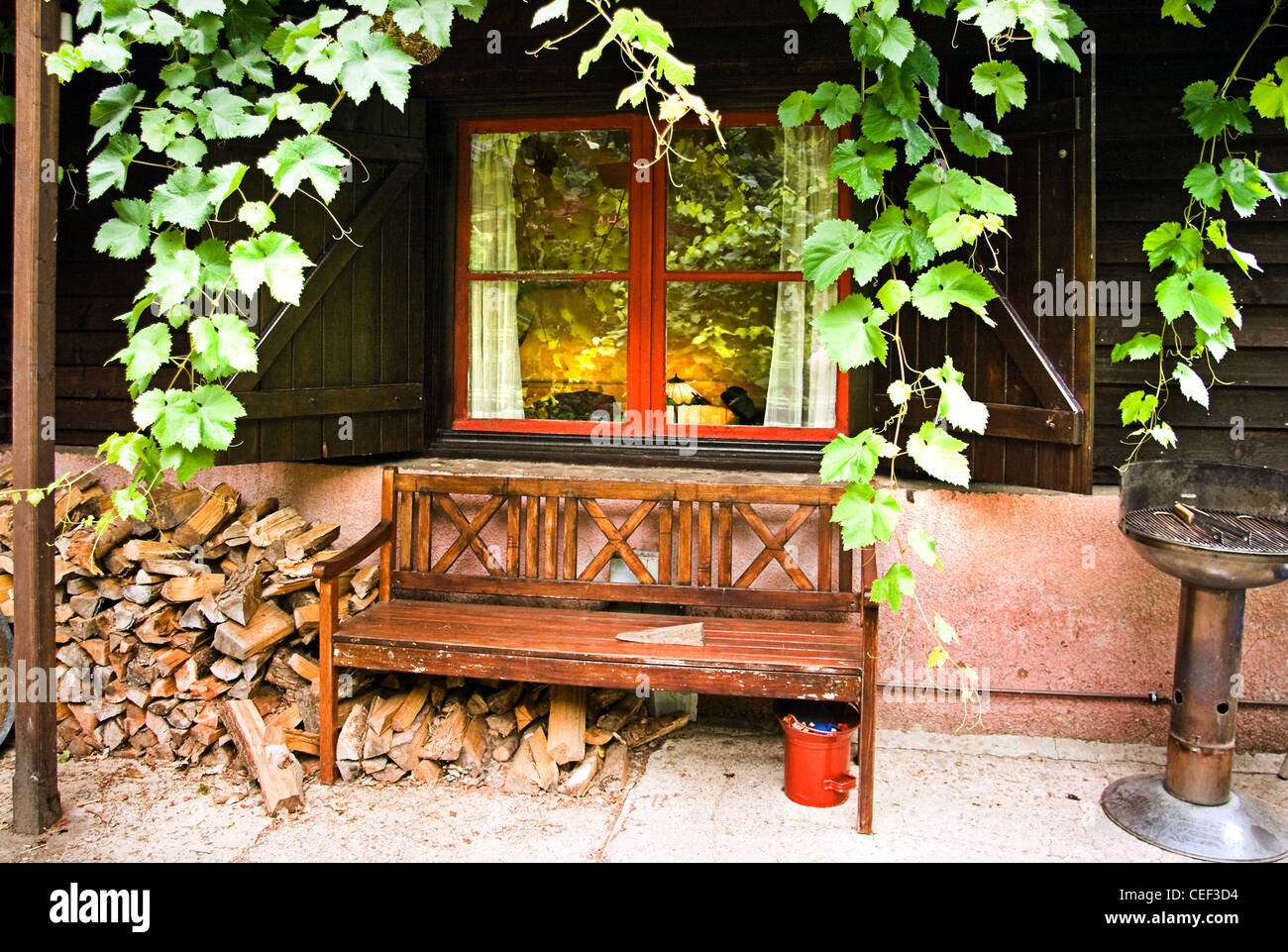 Traube Garne wachsen um kleines Häuschen mit Garten-Bank am frühen Sommermorgen Stockfoto