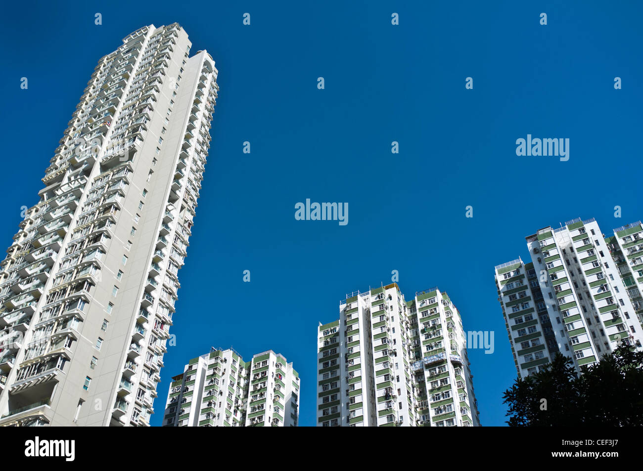 dh QUARRY BAY HONG KONG Kornhill Block Wohnungen Blick nach oben Hochhaus Wolkenkratzer Gehäuse Stockfoto