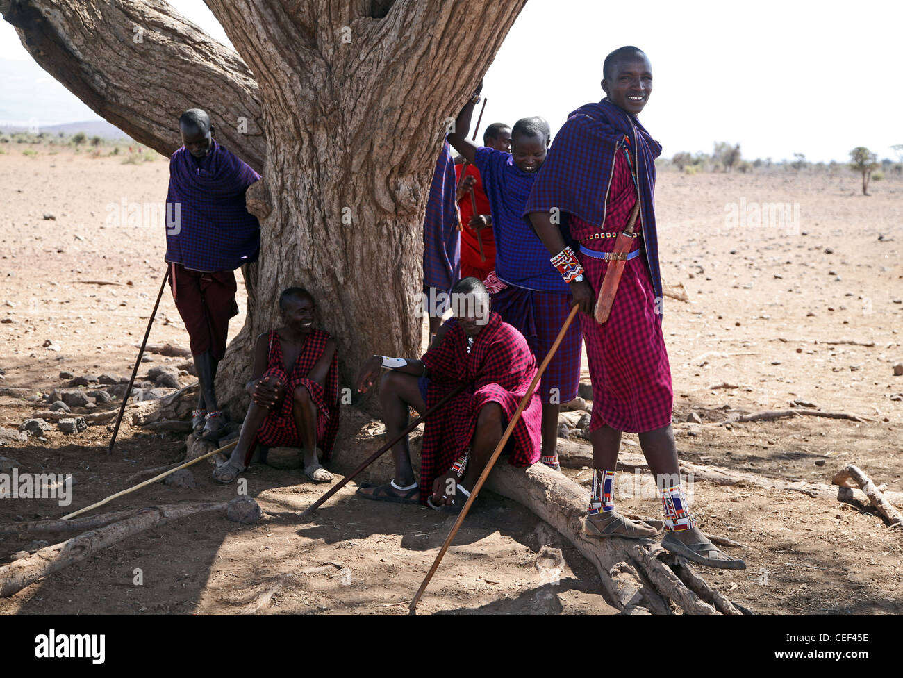 Maasai-Männer unter einem Baum in der Nähe ihres Dorfes in Amboseli Nationalpark, Kenia, Ostafrika. Stockfoto