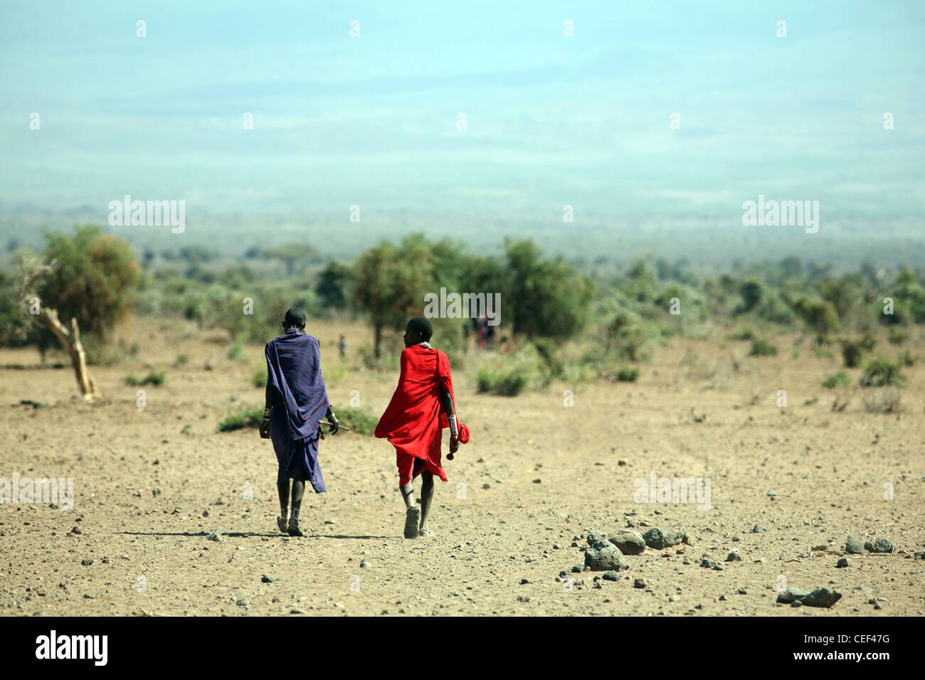 Maasai-Männer in der Nähe ihres Dorfes in Amboseli Nationalpark, Kenia, Ostafrika. Stockfoto