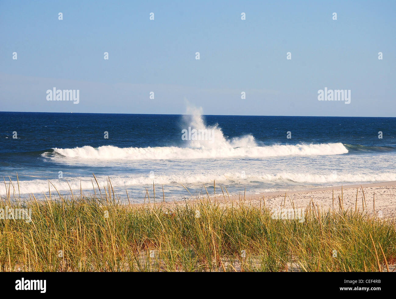 Ozean, Meer, Wellen, Surfen, Rasen, Sand, Landschaft, Horizont Stockfoto