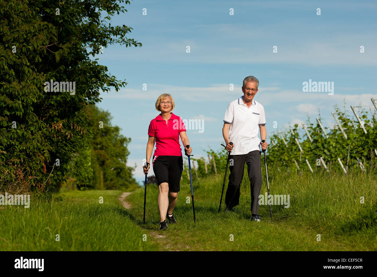 Nordic Walking - Reifen oder senior Brautpaar beim Sport im Sommer im freien Stockfoto