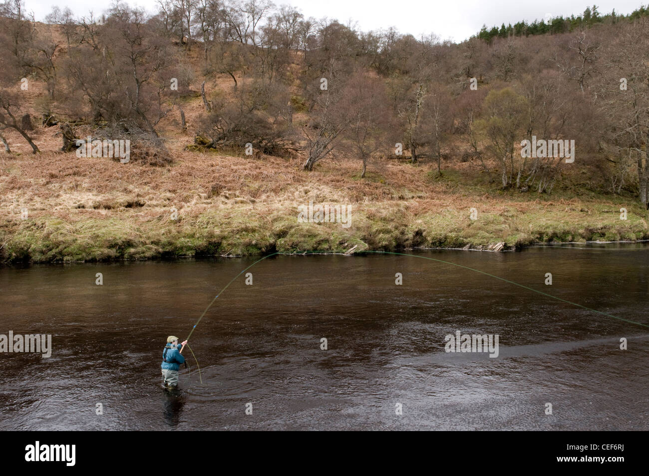 Man Lachs Angeln im Fluss Oykel, Sutherland, Schottland Stockfoto