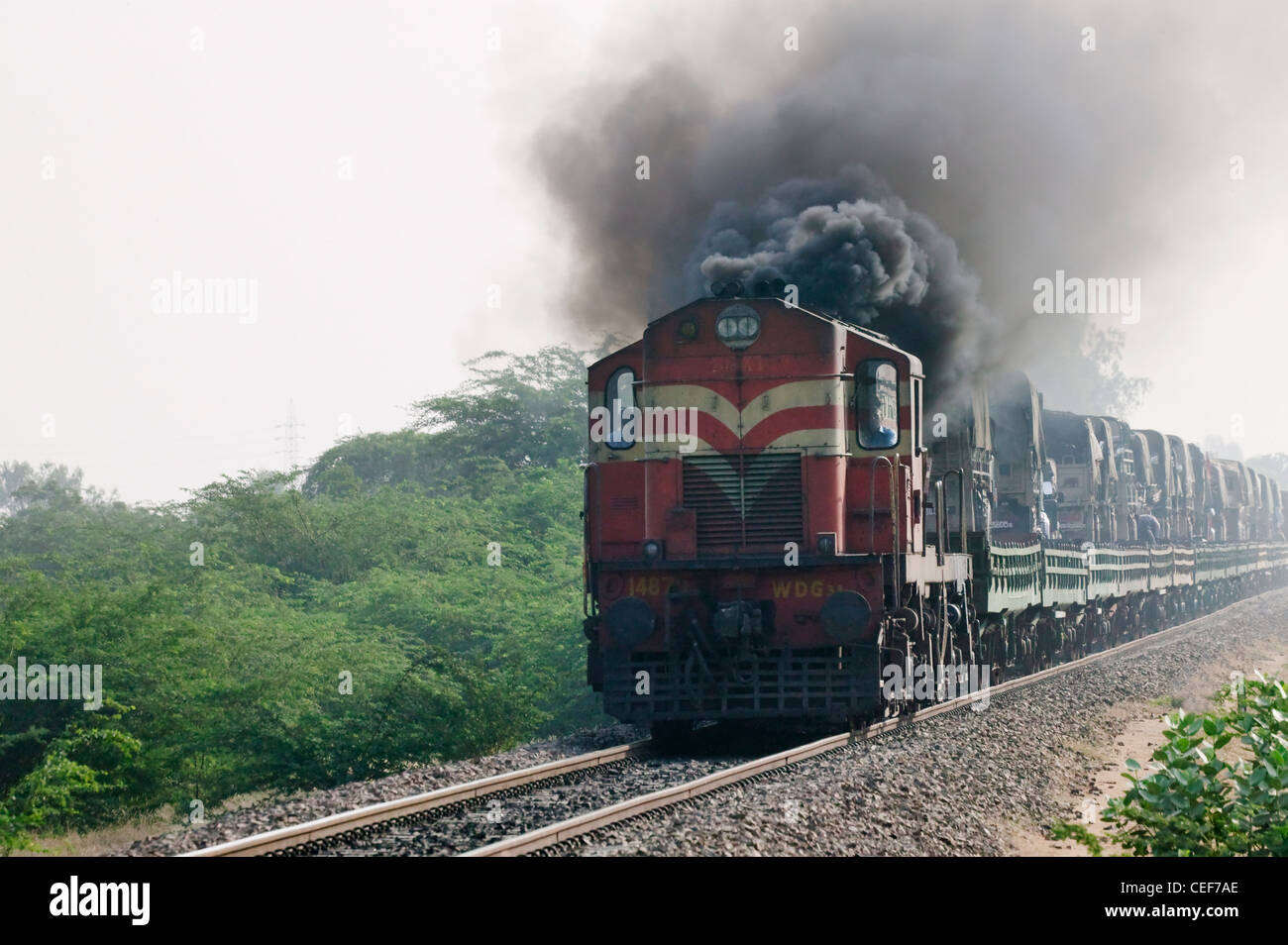 Zug auf Gleis, Rajasthan, Indien Stockfoto
