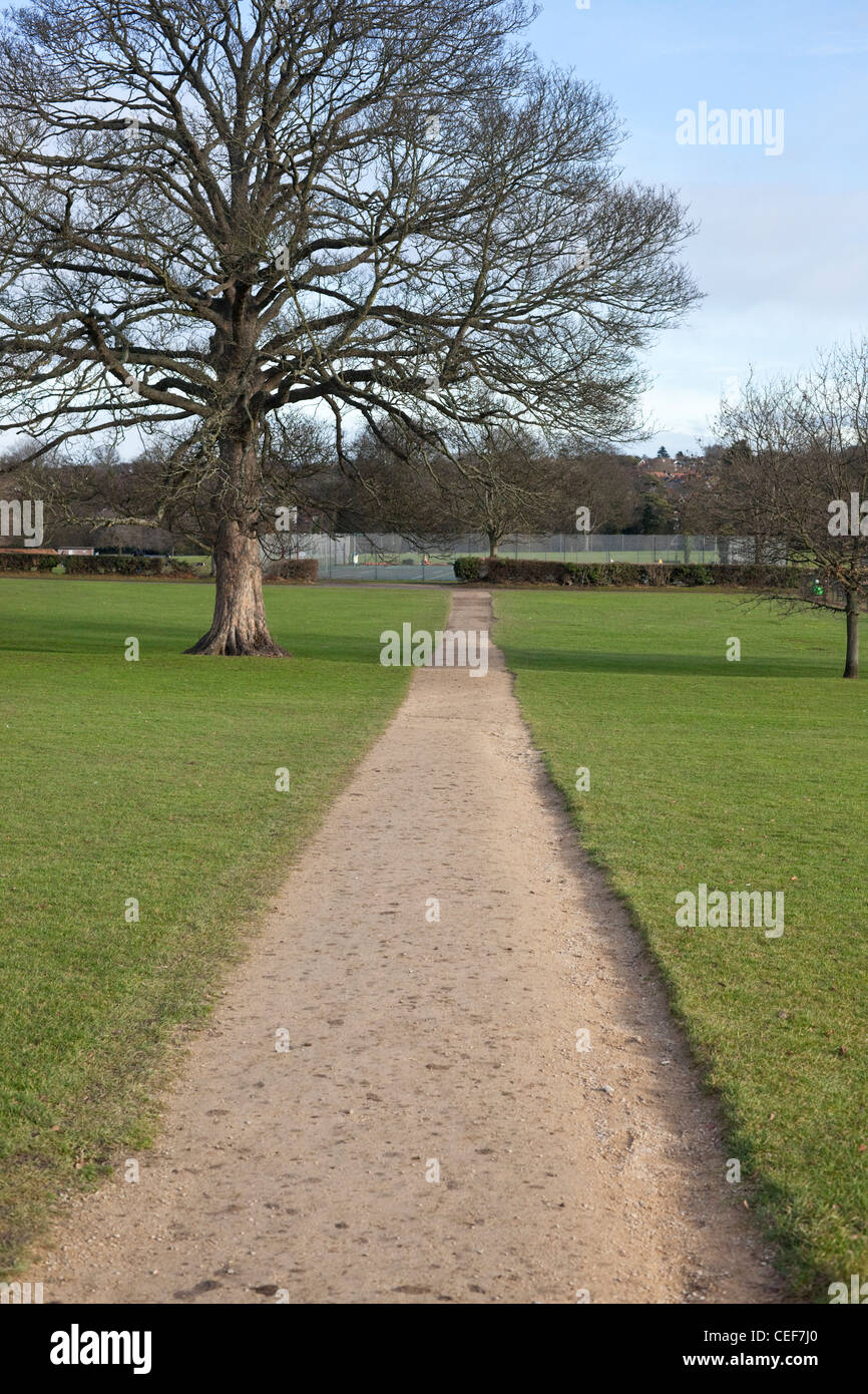 Gerade Schmutz Fußweg durch Rasen, England, UK Stockfoto