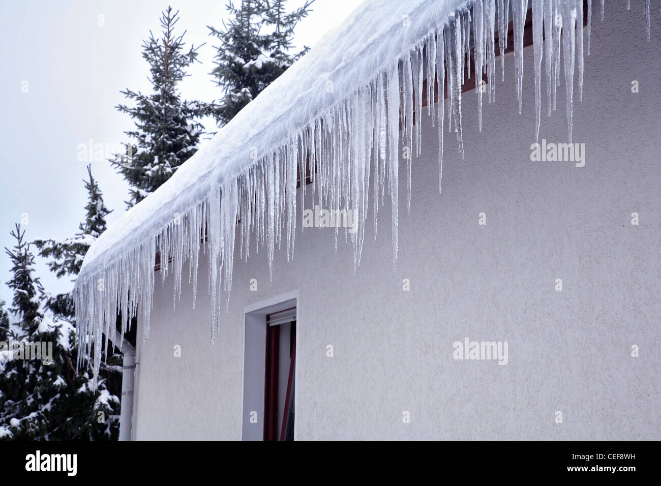 Eiszapfen hängen vom Schnee bedeckten Dach. Oberbergisches Land, Nordrhein Westfalen, Deutschland. Stockfoto