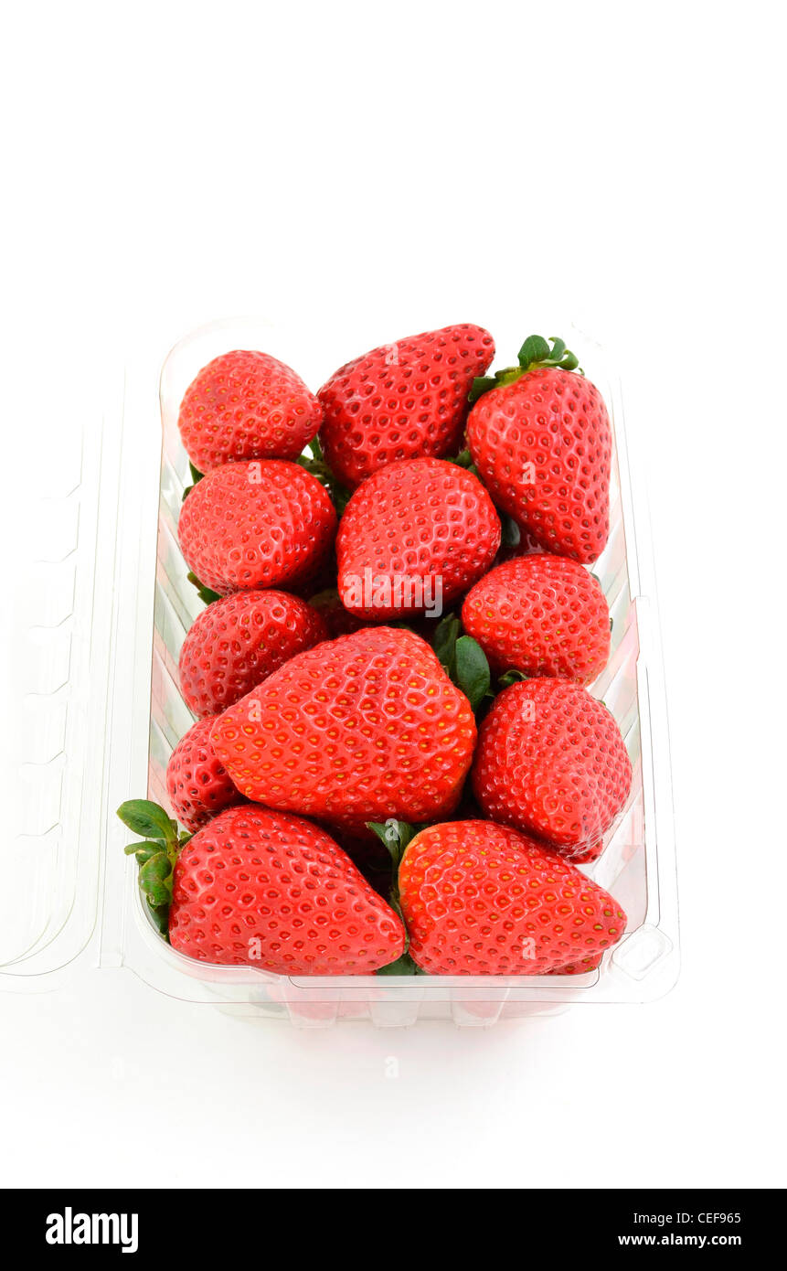 Frische Erdbeeren in klaren Plastikbehälter auf weißem Hintergrund in Hochformat mit Platz für Kopie Stockfoto