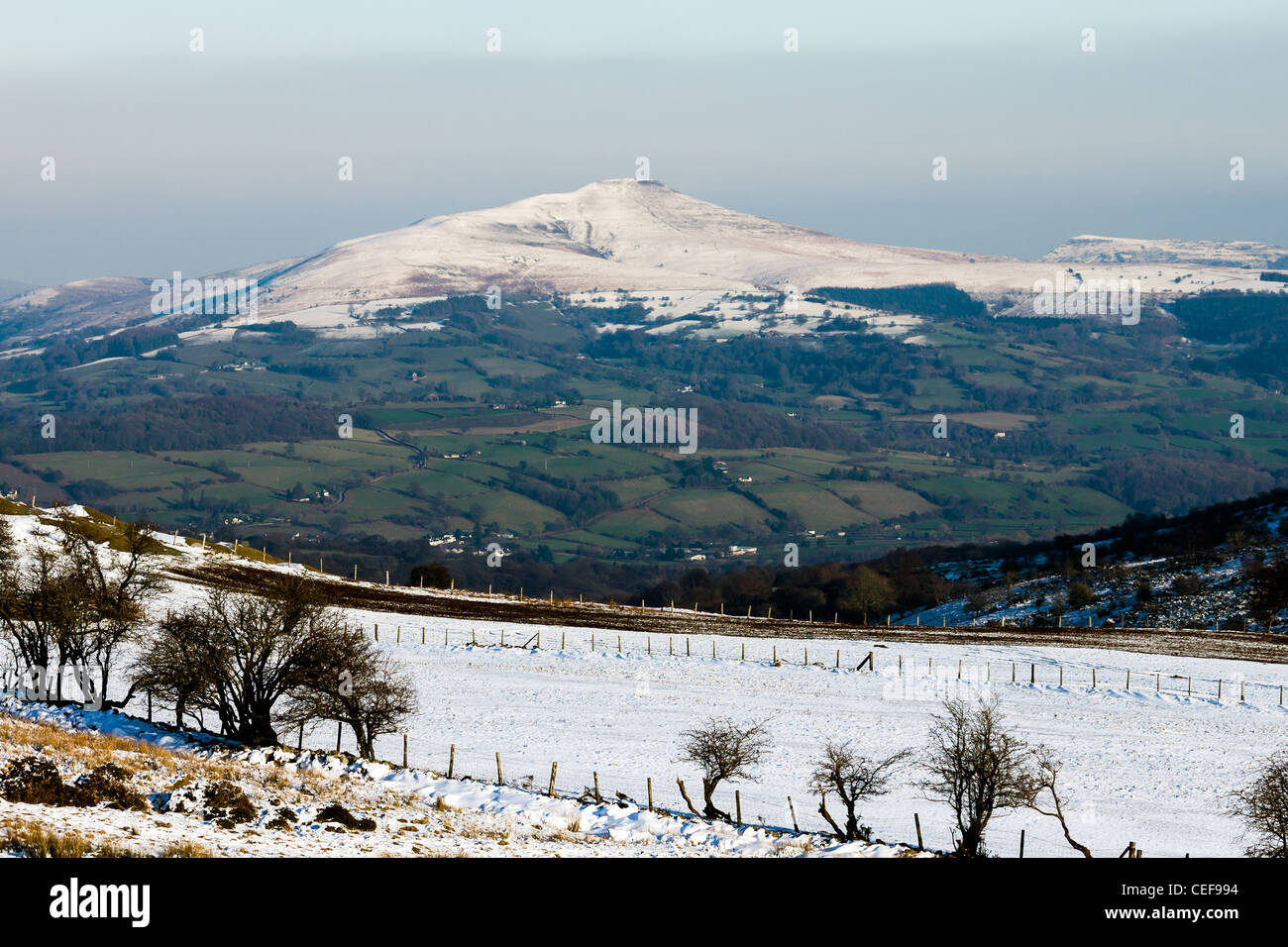Ein Berg mit seinem Gipfel mit Schnee mit grünen Feldern unten eine klare Schneegrenze mit abfallenden Schnee bedeckten Feldern Vordergrund bedeckt Stockfoto