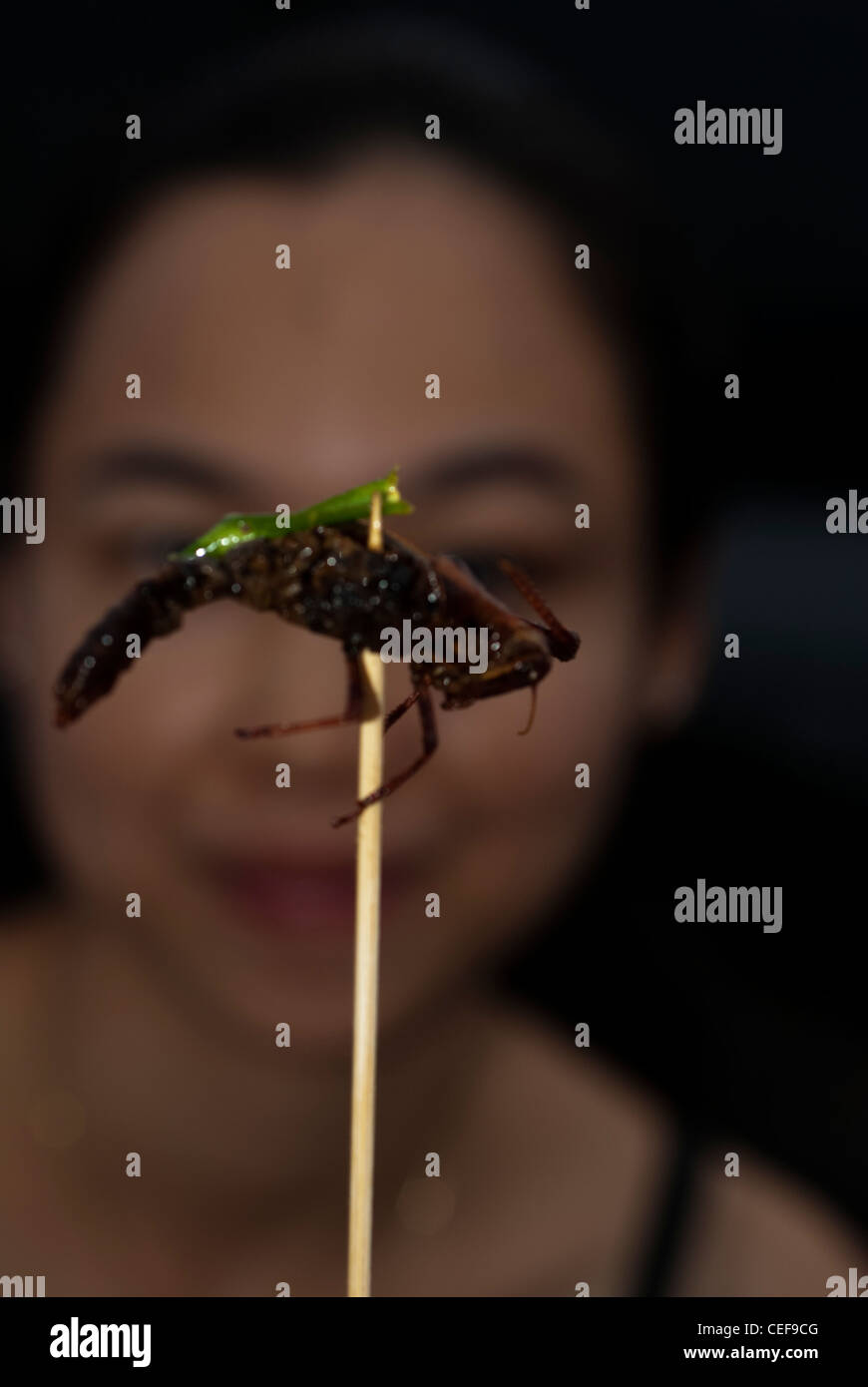 interessante Insekten essen von einem lokalen Markt in Phuket Thailand. Stockfoto