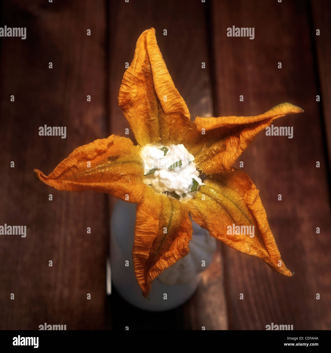 eine gefüllte Squash-Blüte mit einem Stempel von Quark mit Schnittlauch und Estragon Stockfoto