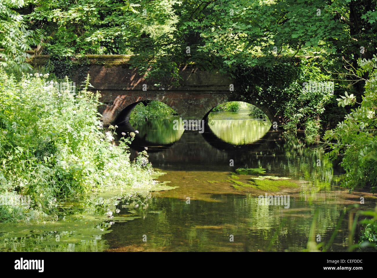 Eine Brücke über den Fluß Frome Stockfoto