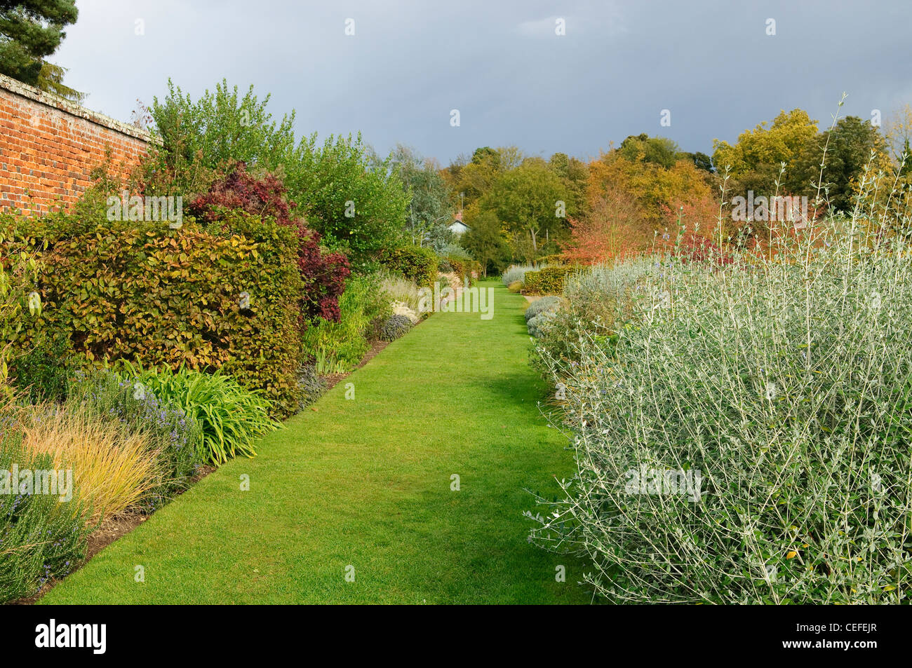 Gartenweg im englischen Garten. Mark Hall Gärten und Arboretum, Essex, UK Stockfoto
