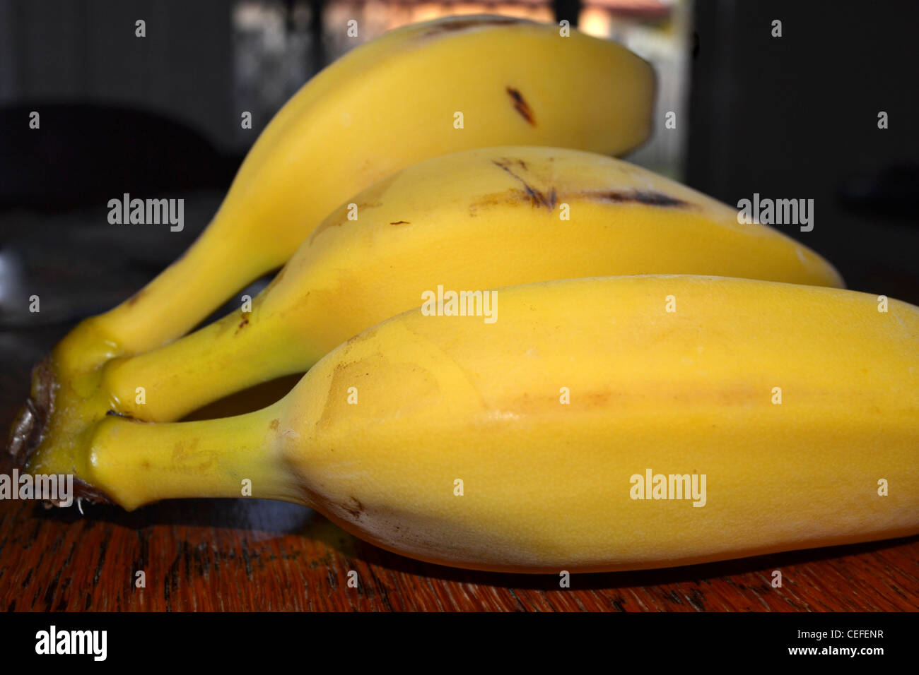 Eine schöne Reihe von Lady Finger Bananen, Queensland Australien Stockfoto