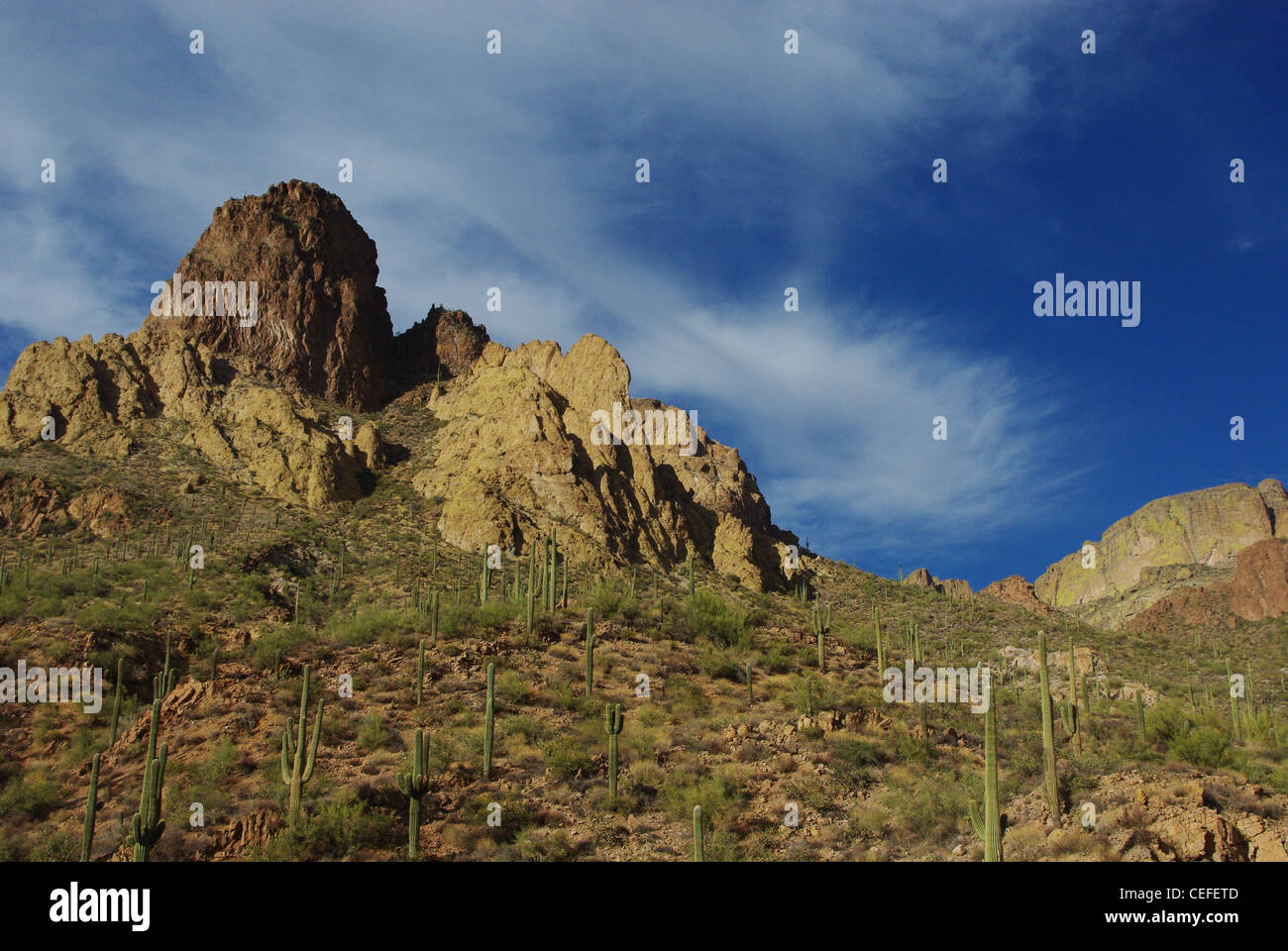 Saguaros, Felsen und Berge in der Nähe von Tortilla Flat, Arizona Stockfoto