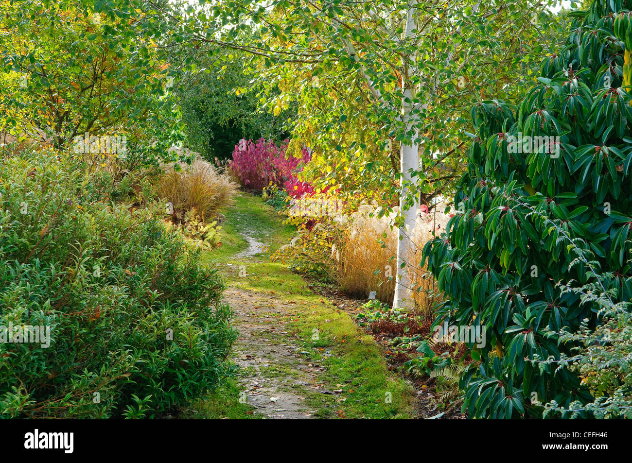 Wald-Garten in Marks Hall Essex UK Stockfoto