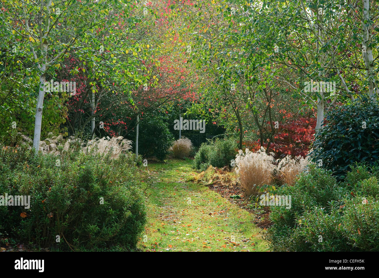 Woodland Garten, Mark Hall, Essex, UK Stockfoto