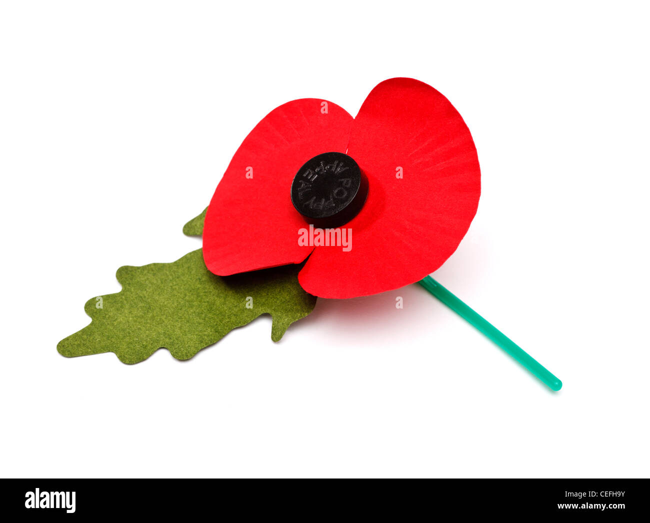 Charity Poppy für die Royal British Legion, ausgeschnitten auf weißem Hintergrund Stockfoto