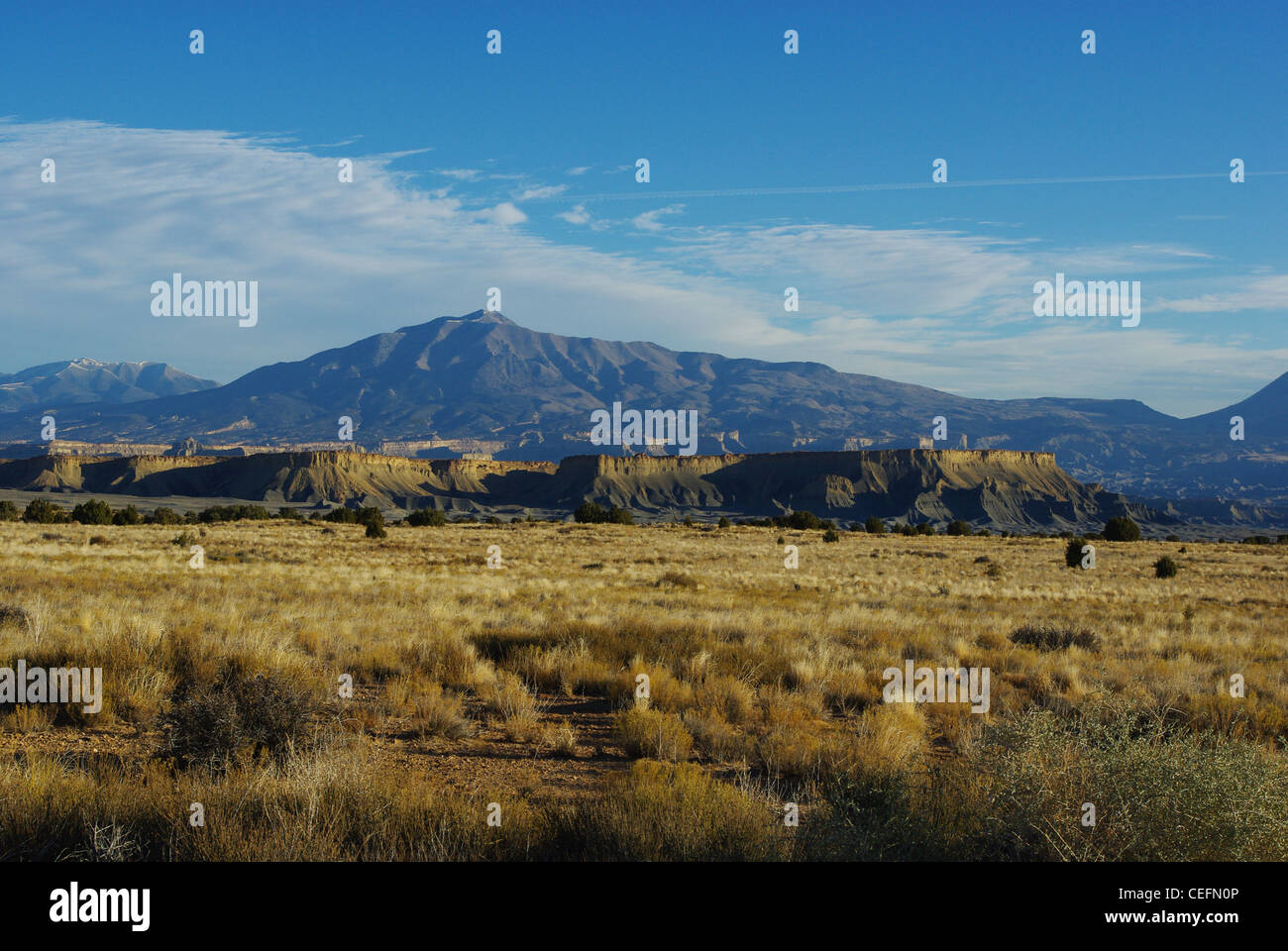 Wüste, Waterpocket Fold, Henry Mountains, Utah Stockfoto