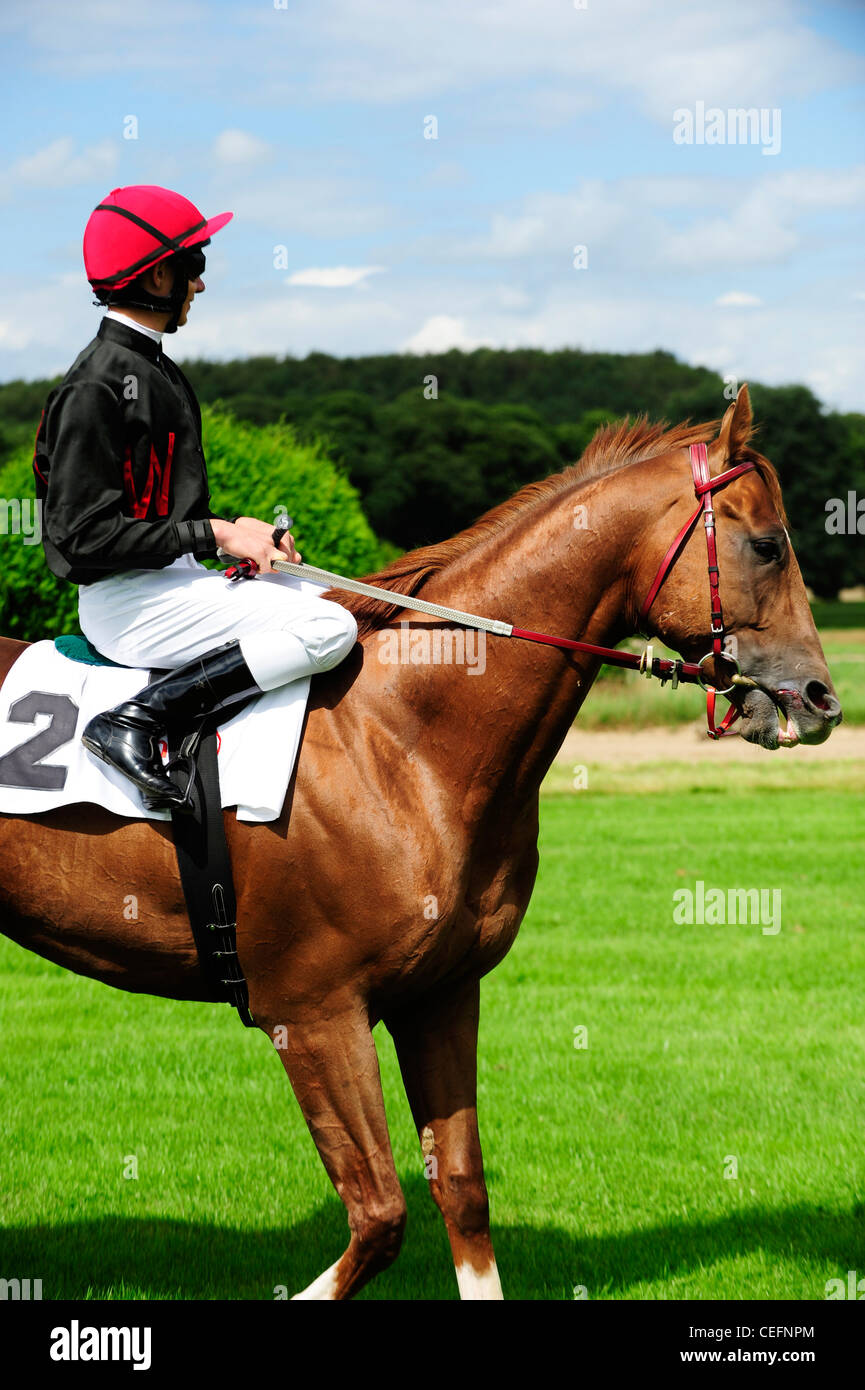 Jockey auf Rennpferd Stockfoto