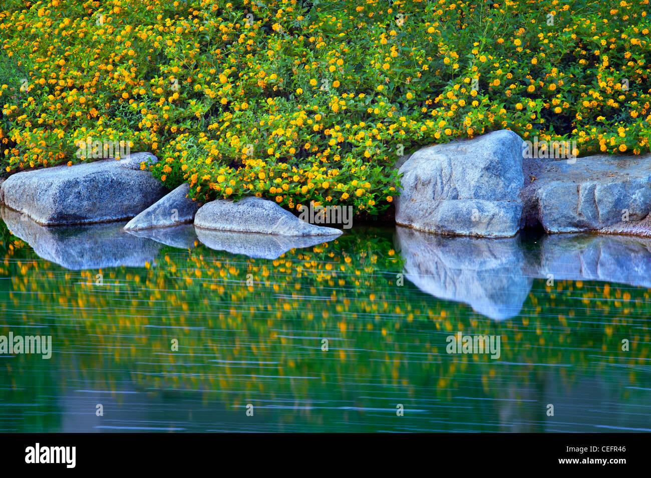 Garten-Stream mit Steinen und Blumen. Palm Desert, Kalifornien Stockfoto