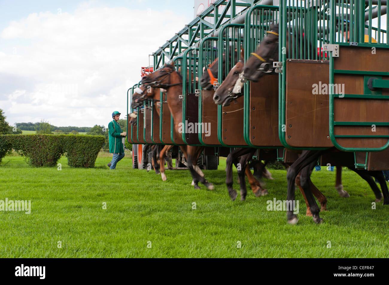 Jockeys auf Rennpferde ab out of the Box bei Pferderennen Stockfoto