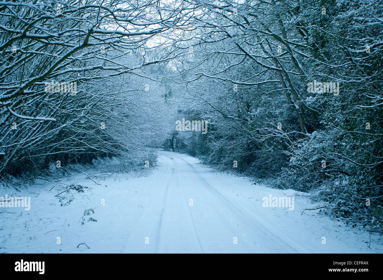 Sicher sein, beim Fahren auf vereisten Straßen unter winterlichen Bedingungen Stockfoto