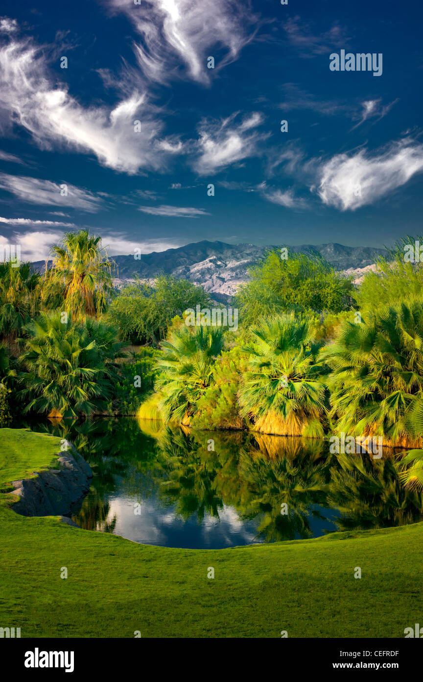 Teich im Desert Willow Golfresort. Palm Desert, Kalifornien Stockfoto