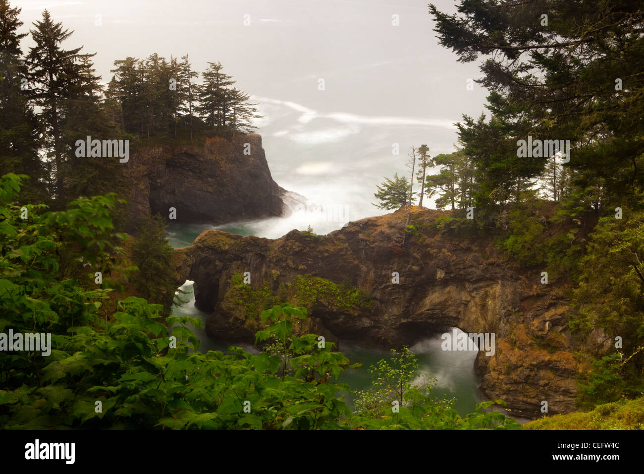 Naturale, Küste von Oregon, Samuel H Boardman State Park, Oregon, USA Stockfoto