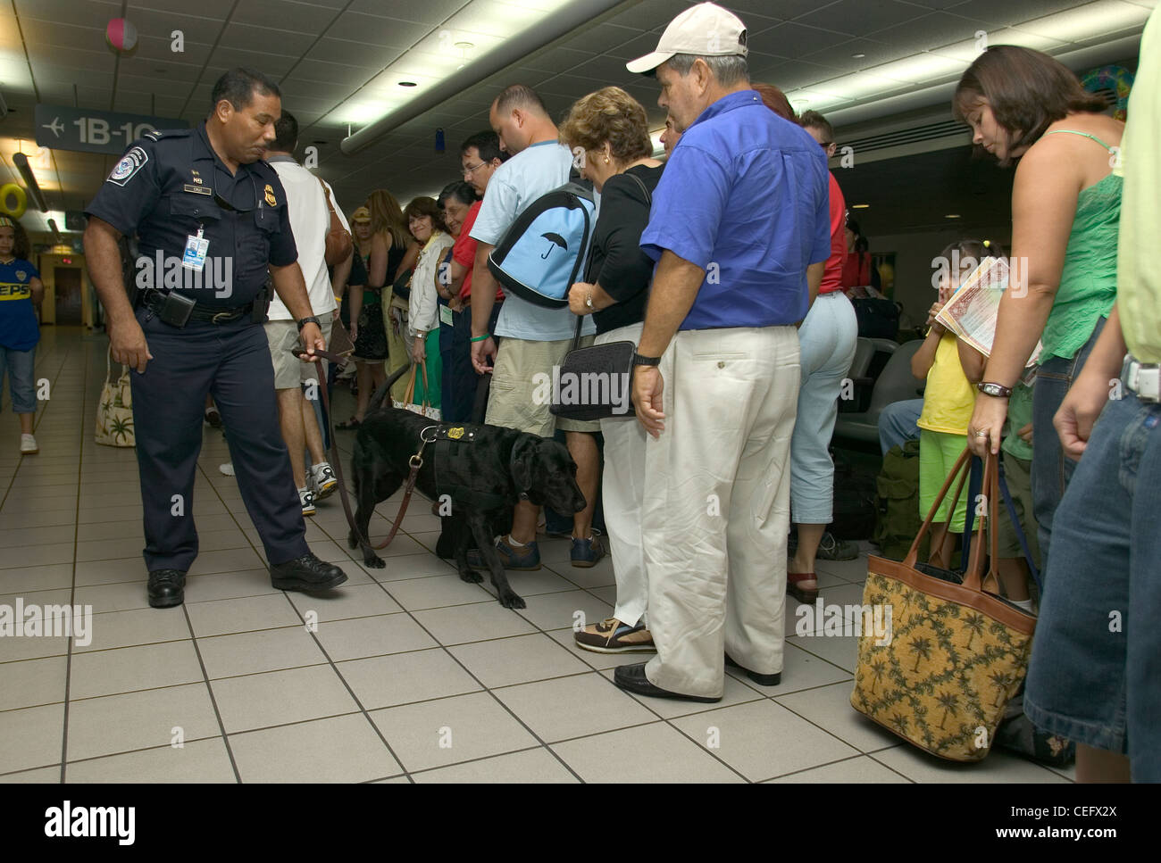 Ein eckzahn CBP Offizier Bildschirme Flughafen Passagiere. Stockfoto