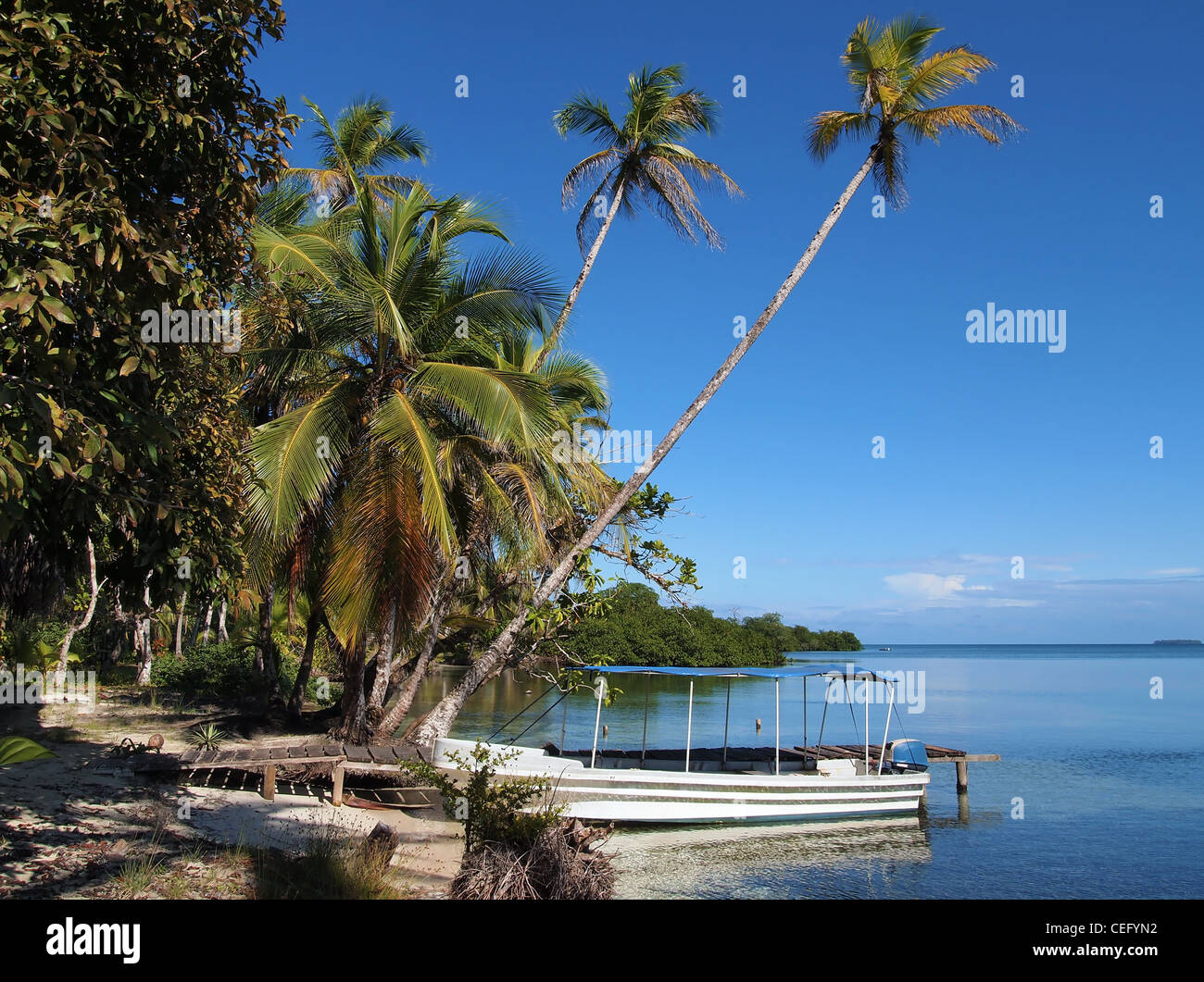 Meer mit Kokospalmen beugte sich über das Wasser und ein Boot am Dock, Mittelamerika, Panama Stockfoto