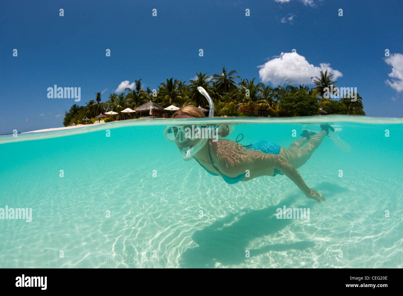 Schnorcheln am Kurumba Island, Nord Male Atoll, Indischer Ozean, Malediven Stockfotografie Alamy
