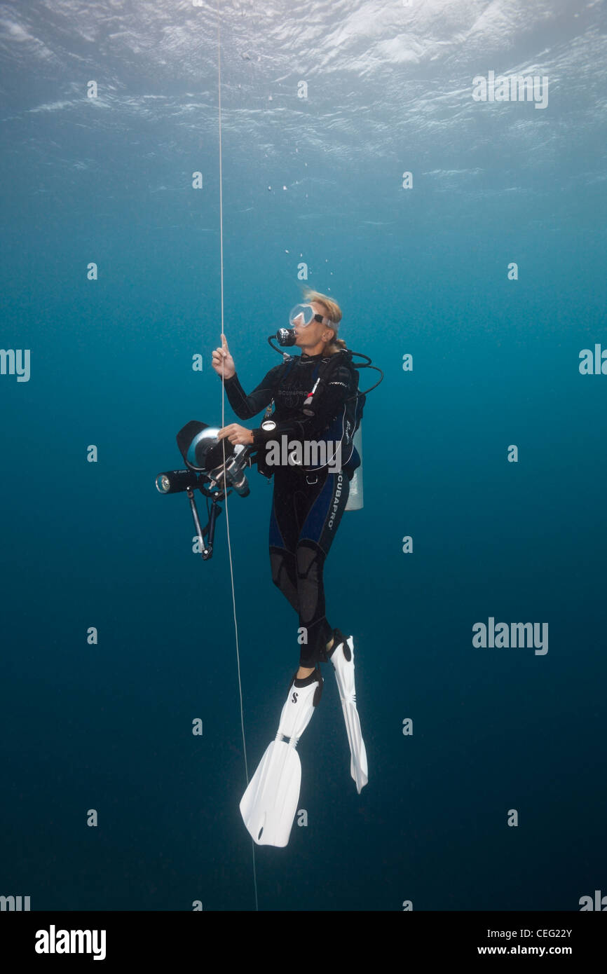 Scuba Diver machen Sicherheits-Stop mit Boje, Baa Atoll, Indischer Ozean, Malediven Stockfoto