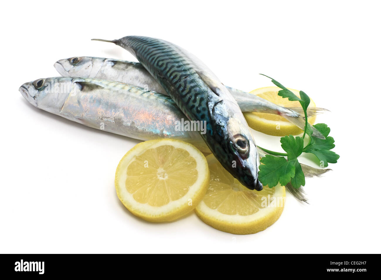 drei frische Makrele Fisch mit in Scheiben geschnittenen Zitrone auf weißem Hintergrund Stockfoto