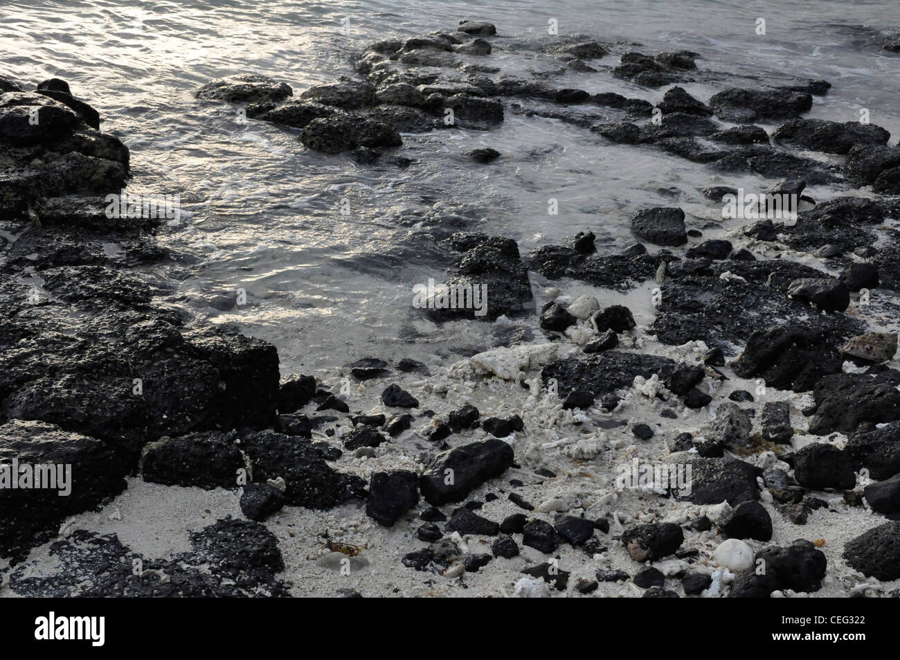 Vulkangestein und Sub-tropischen Meer im Morgengrauen Stockfoto